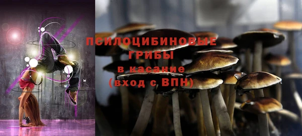 трава Краснотурьинск